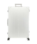 Aleon 30 Macro Traveler Spinner (4 wheels) platinum