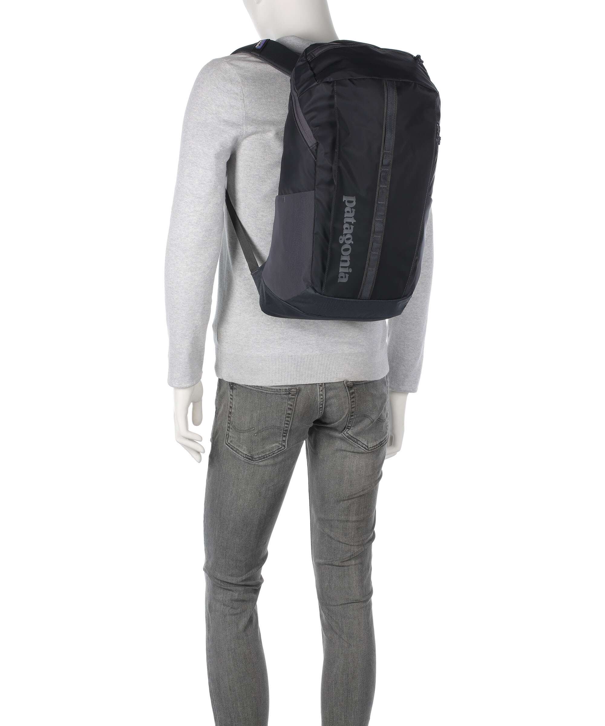 Patagonia Black Hole 25 Backpack brisk purple