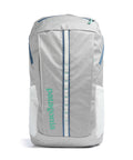 Patagonia Black Hole 25 Backpack birch white
