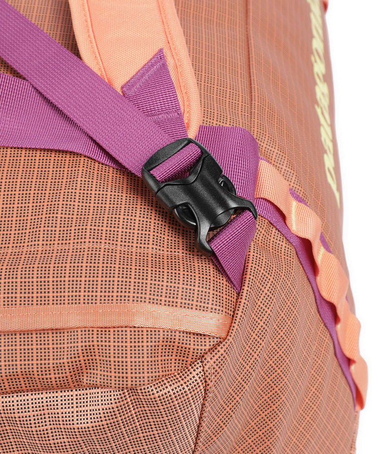 Patagonia Black Hole 40 Travel bag peach sherbet