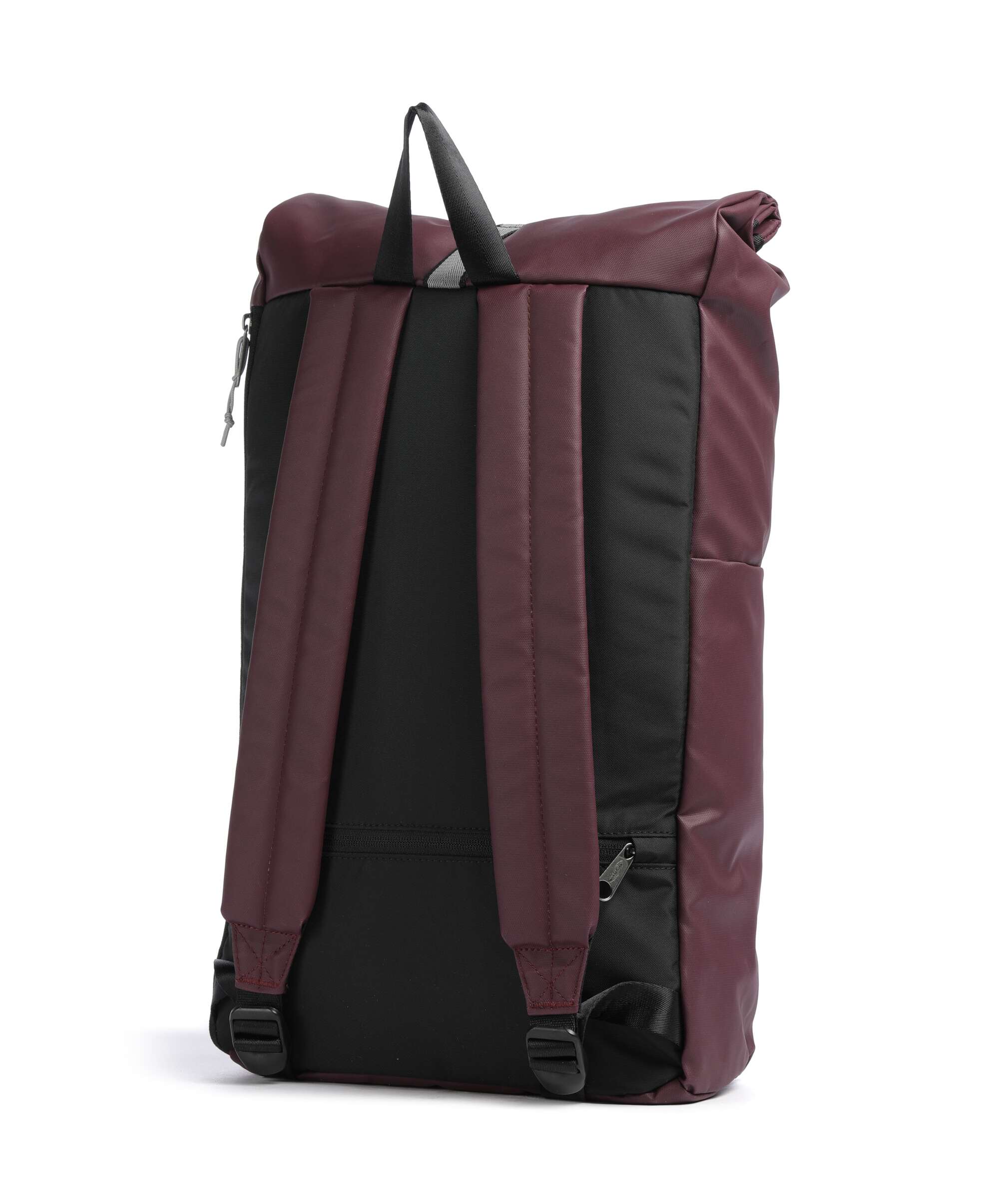 Eastpak Up Rolltop backpack fig