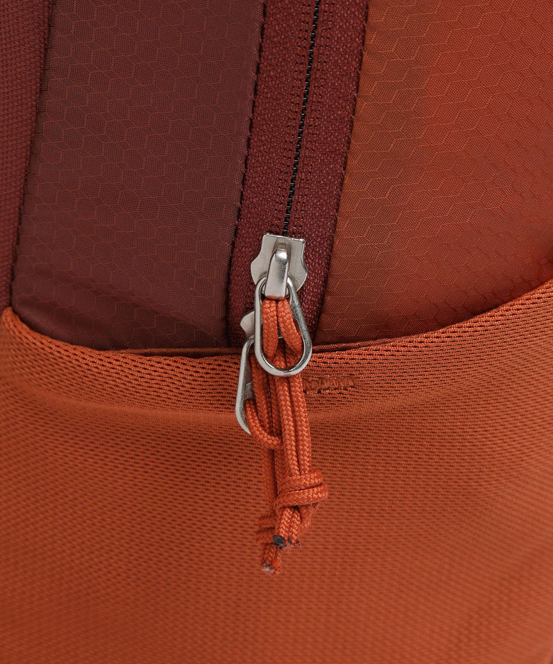 Deuter Race 12 Backpack chestnut/redwood