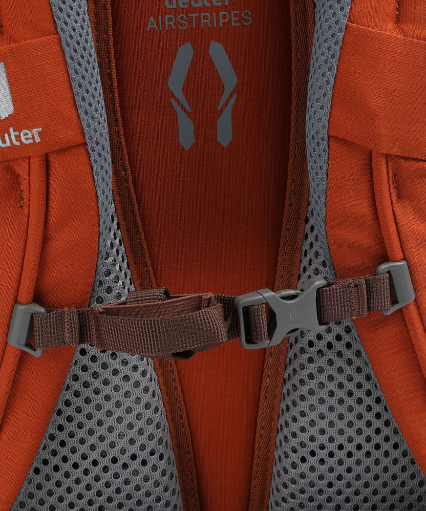 Deuter Walker 24 Backpack chestnut/umbra