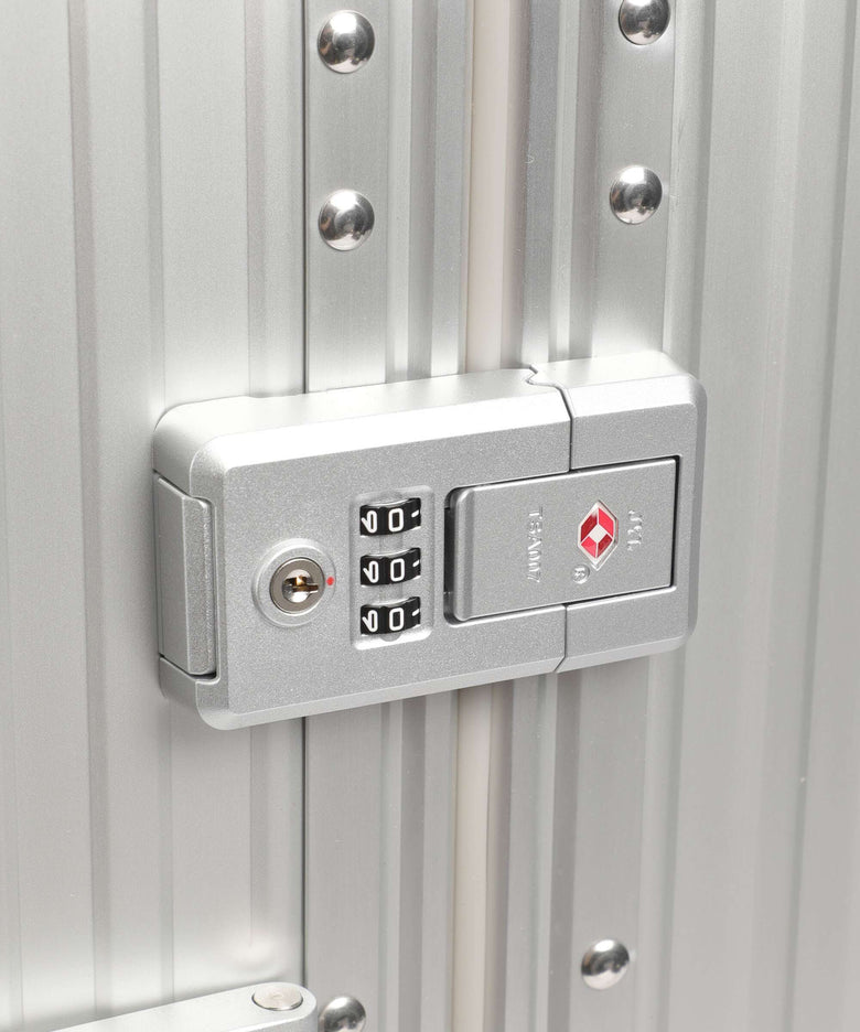 Aleon Classic 21 Domestic Spinner (4 wheels) platinum