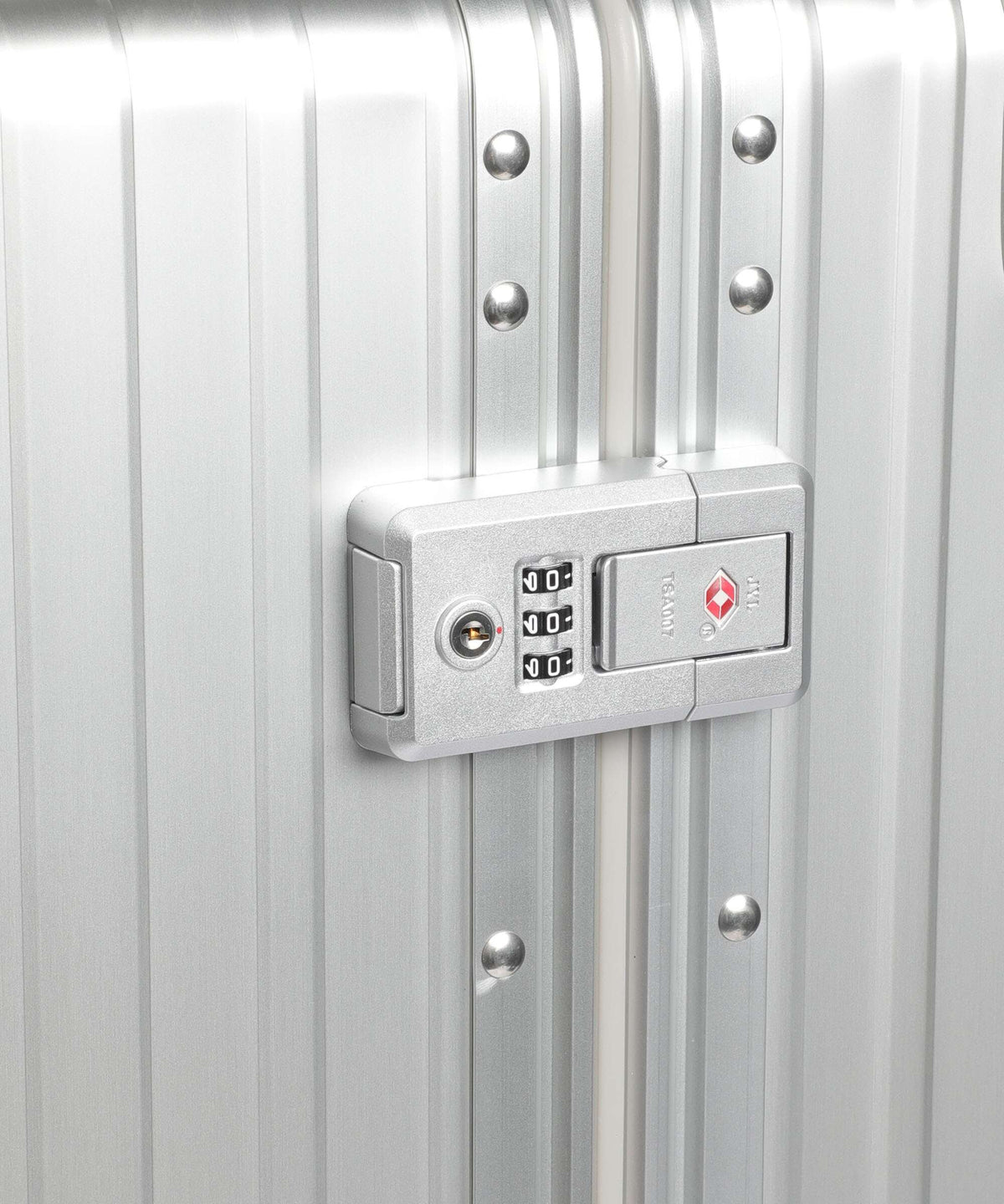 Aleon Classic 30 Macro Traveler Suiter Spinner (4 wheels) platinum