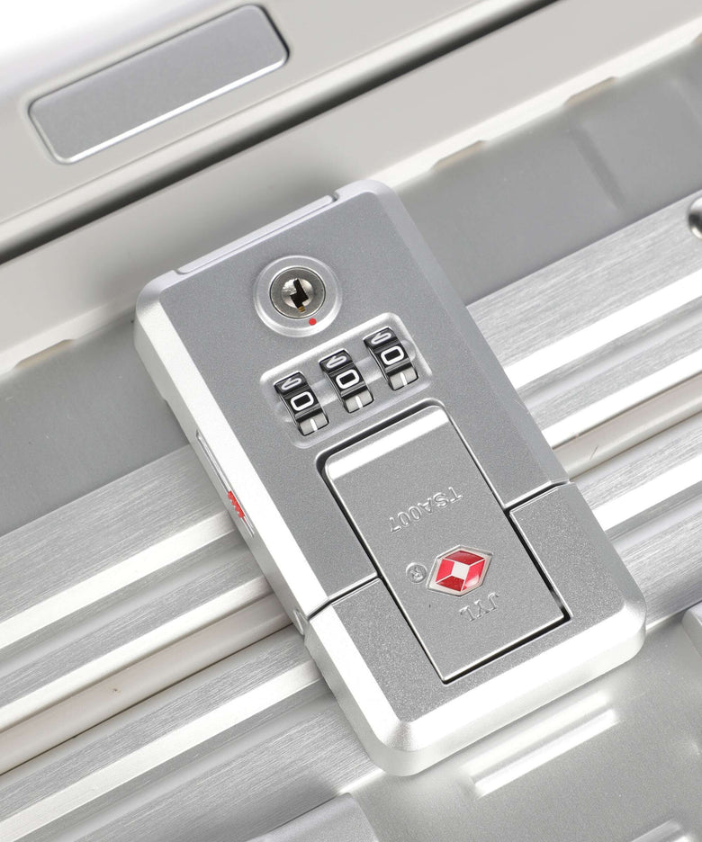 Aleon Classic 21 Vertical Business Spinner (4 wheels) platinum