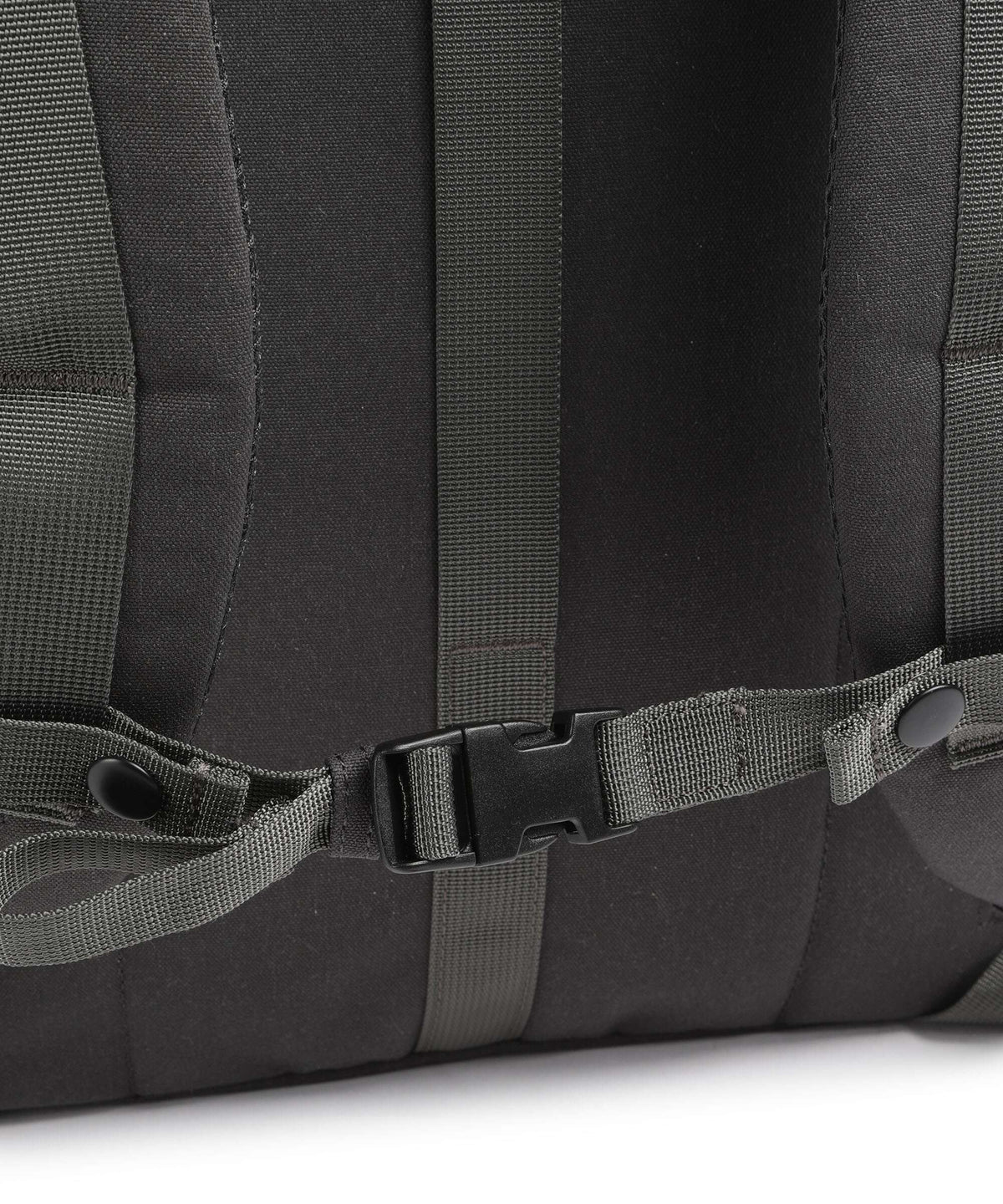 Doughnut Mediative Jetpack Rolltop backpack ground