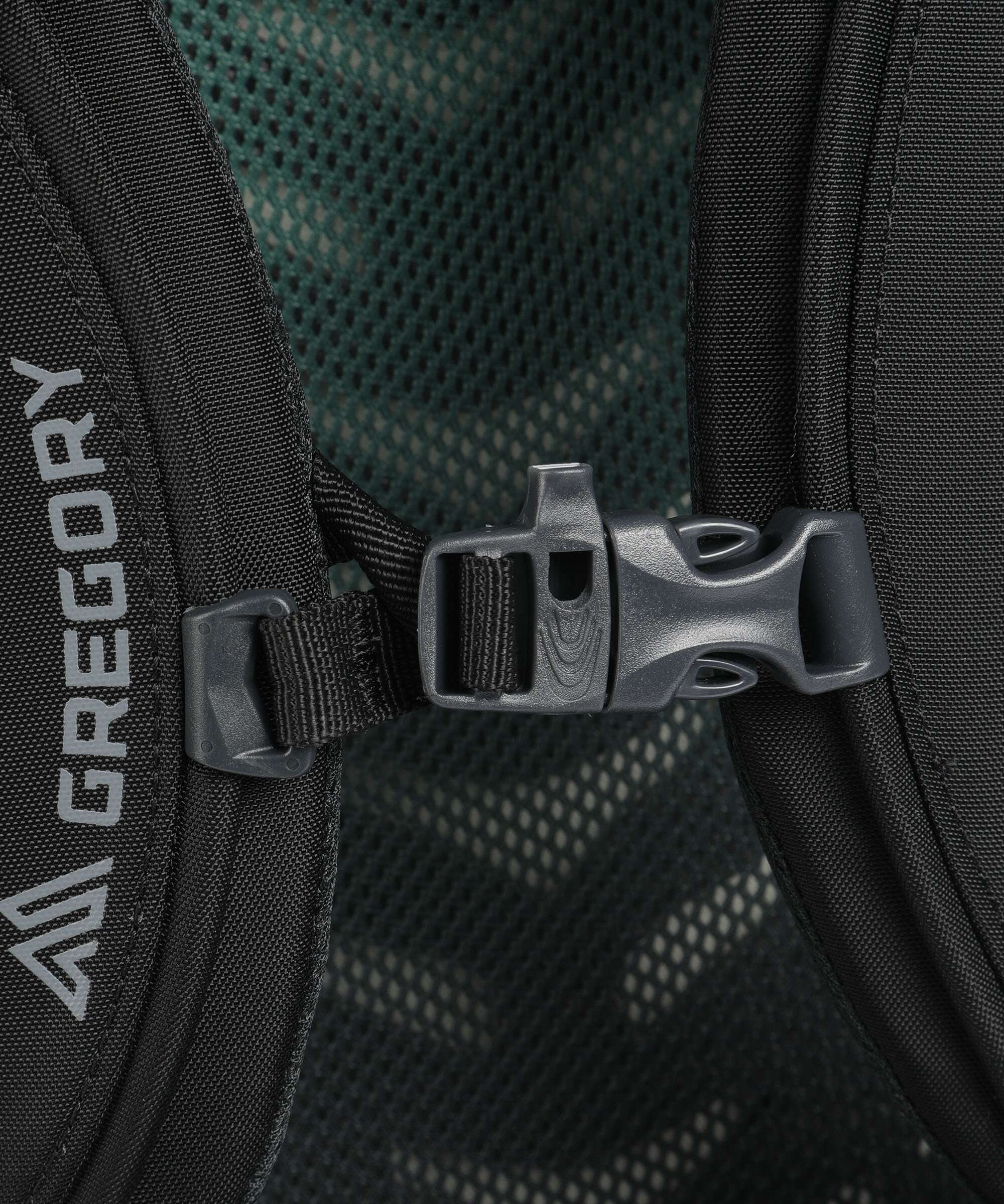 Gregory Stout 55 Trekking backpack forest black