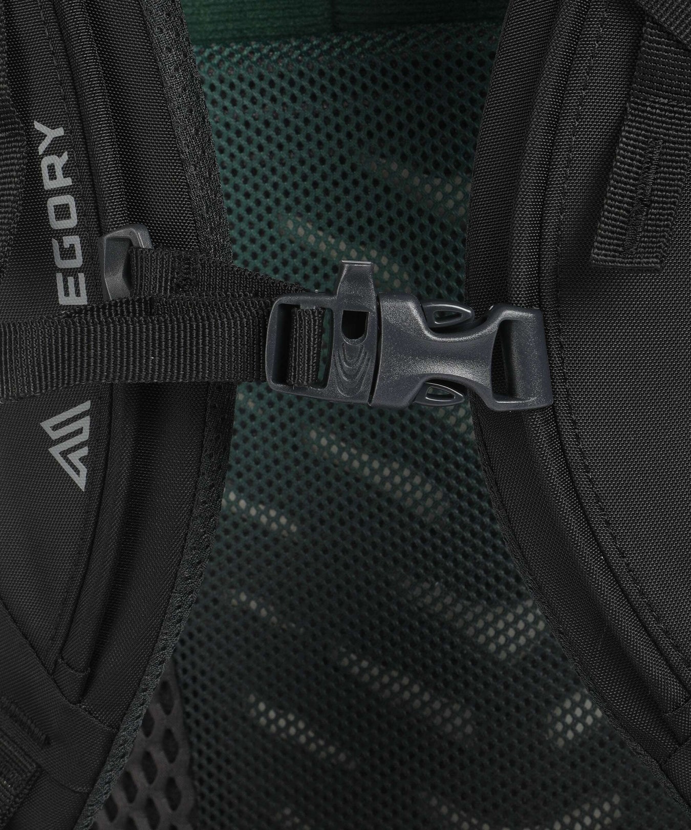 Gregory Stout 70 Trekking backpack forest black