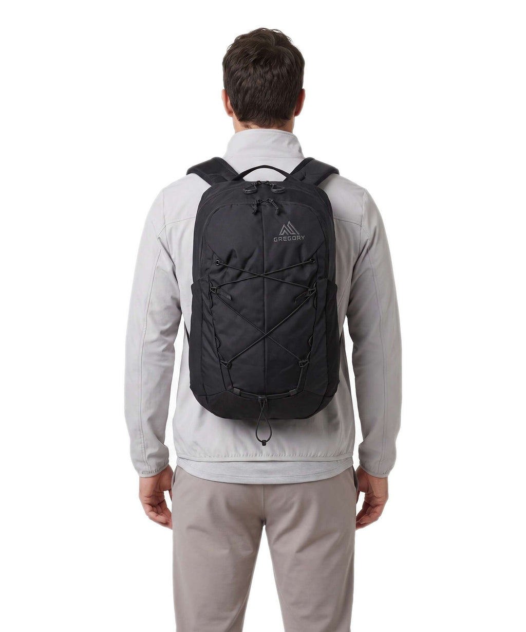 Gregory Terros 20 Backpack black lichen