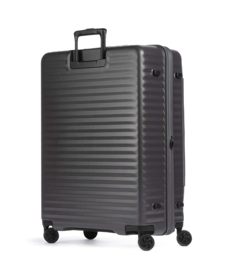 Echolac Celestra FA L Spinner (4 wheels) dark grey