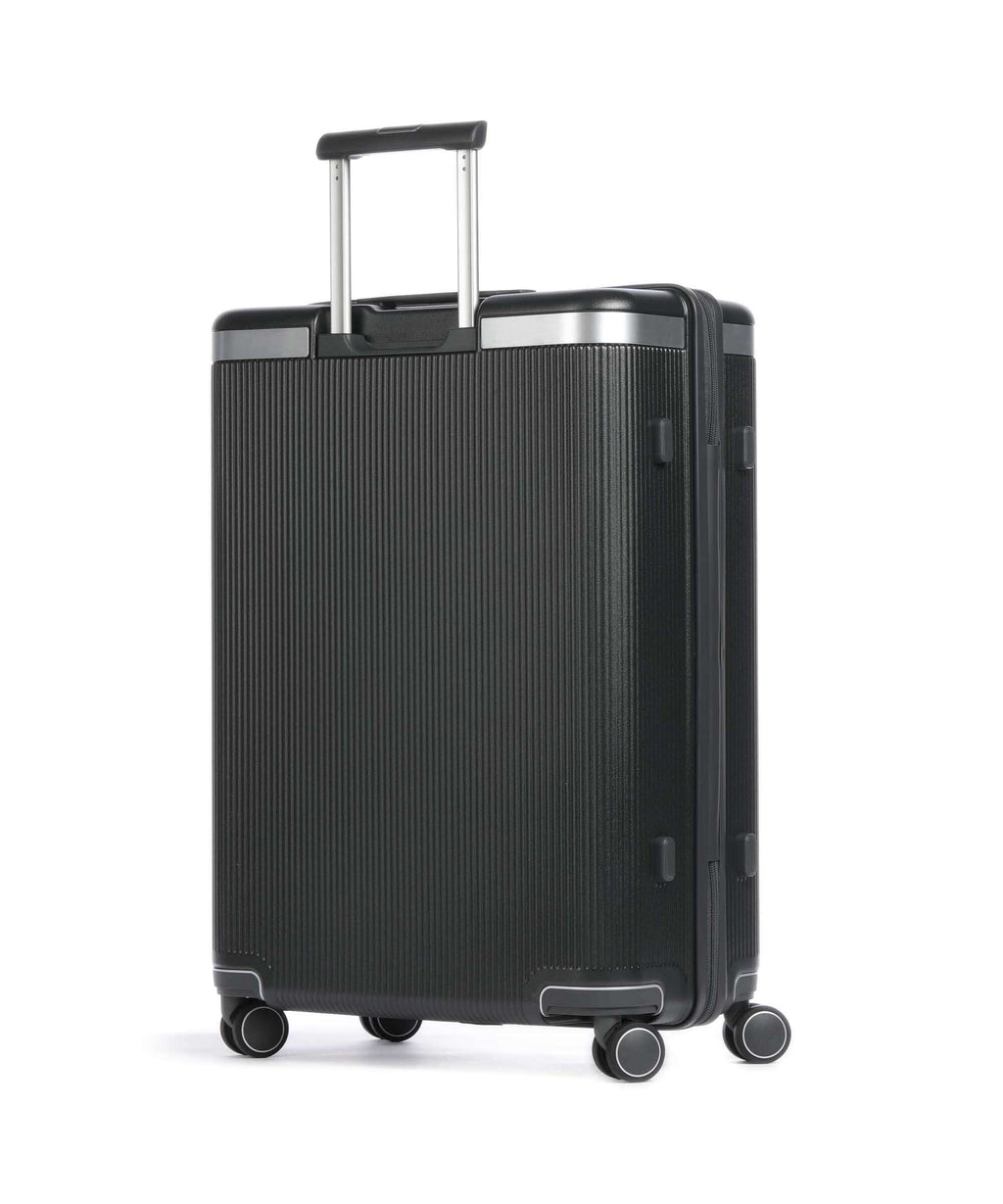 Echolac Dynasty M Spinner (4 wheels) dark grey