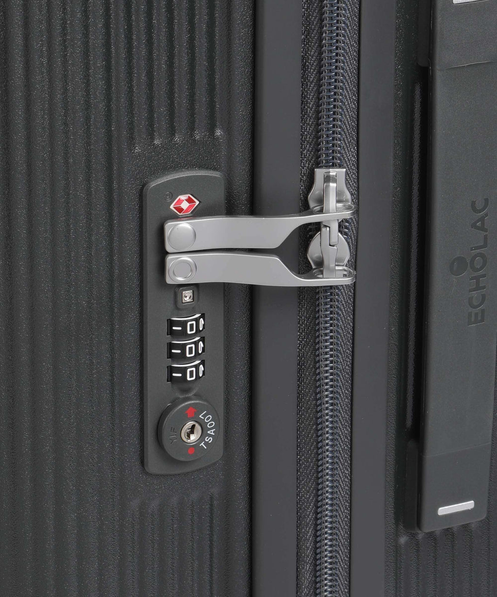 Echolac Dynasty M Spinner (4 wheels) dark grey