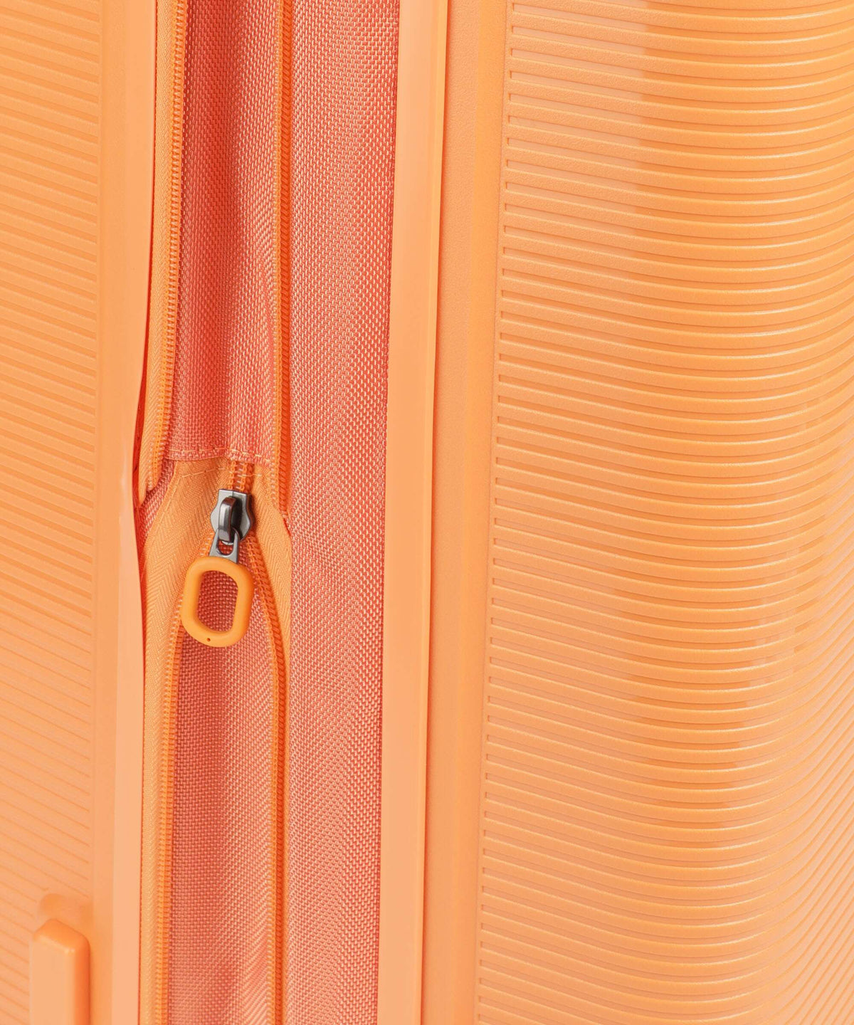 Echolac Forza M Spinner (4 wheels) apricot crush