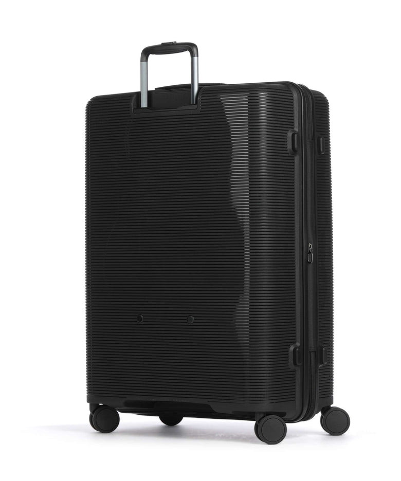 Echolac Forza L Spinner (4 wheels) volcanic black