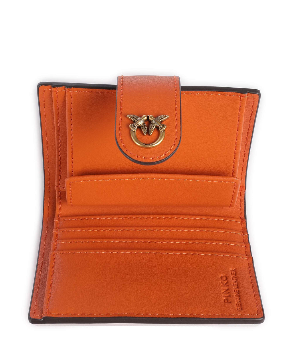 Pinko Wallet bruciato/antique gold